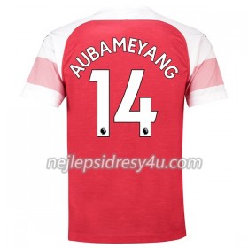 Fotbalový Dres Arsenal Aubameyang 14 Domácí 2018/19